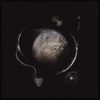 Album Enthroned: Cold Black Suns