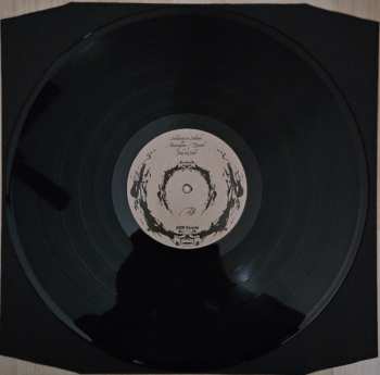 LP Coldcell: Age Of Unreason