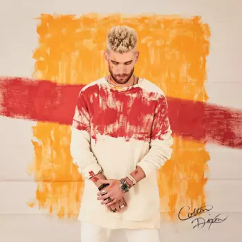 Colton Dixon: Canvas
