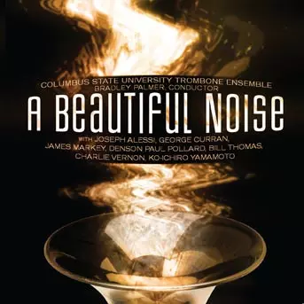 A Beautiful Noise