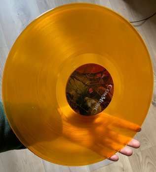 2LP Communic: Hiding From The World LTD | CLR