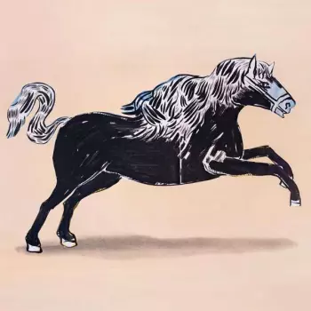 Community Radio: Look Now You're Cursed