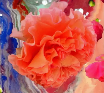 Conic Rose: Heller Tag