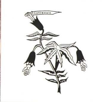 CD Contrastate: A Breeding Ground For Flies LTD