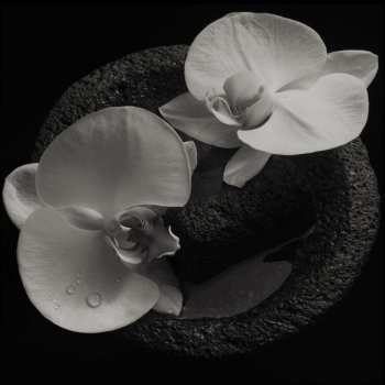 CD Mike Patton: Corpse Flower