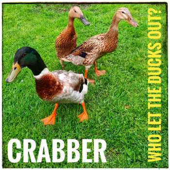 CD Crabber: Who Let The Ducks Out?