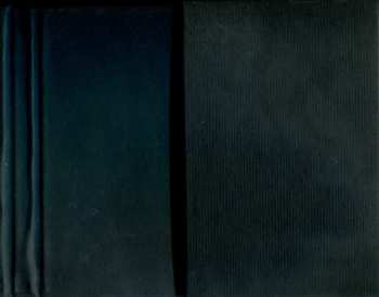 CD Craig Harris And Tailgaters Tales: Shelter