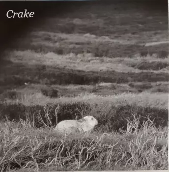 Crake: Enough Salt (For All Dogs)