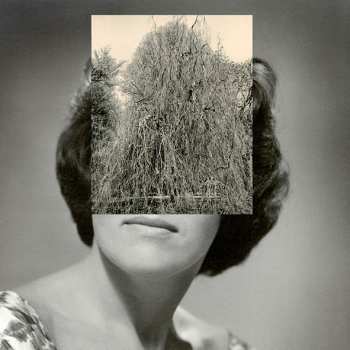 Album Crash Normal: Your Body Got A Land