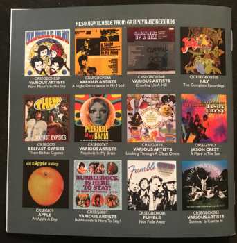 3CD/Doos Creepy John Thomas: Trippin' Like A Dog And Rockin' Like A Bitch: The Complete Recordings