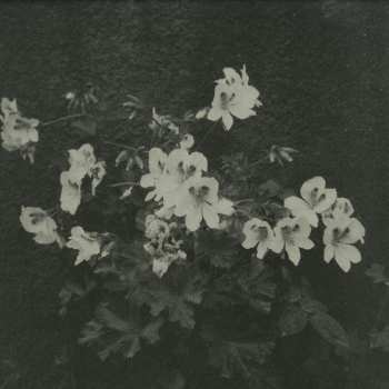 Album Cromby: Planets And Parks EP