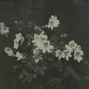 Cromby: Planets And Parks EP