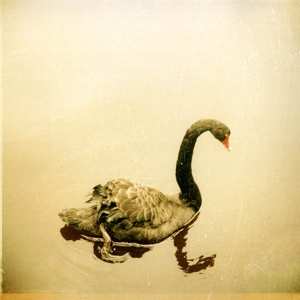 Album Crooked Fingers: Crooked Fingers