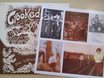 LP Crooked Oak: From Little Acorns Grow