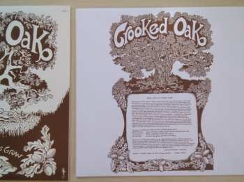 LP Crooked Oak: From Little Acorns Grow