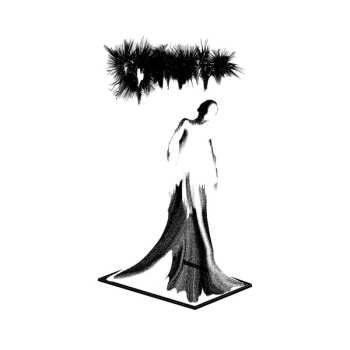 Album Cryptae: Vestigial
