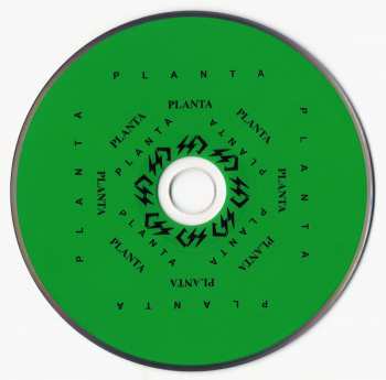 CD CSS: Planta