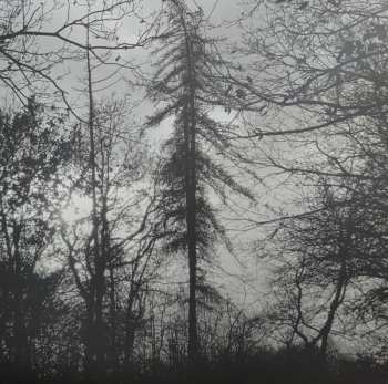 LP Curse All Kings: Feral Earth CLR | LTD