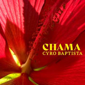 Album Cyro Baptista: Chama