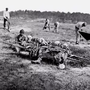 Leaving The Commonwealth