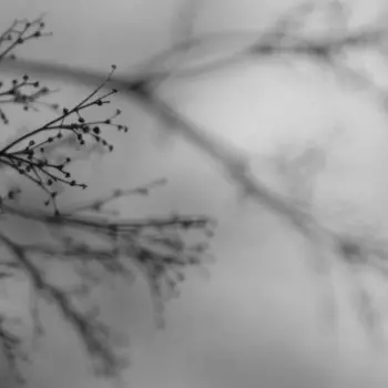 Emanuele Errante: What Matters Most