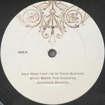 2LP Damien Jurado: And Now That I'm In Your Shadow