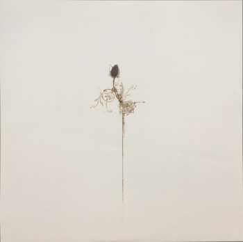2LP Damien Jurado: And Now That I'm In Your Shadow