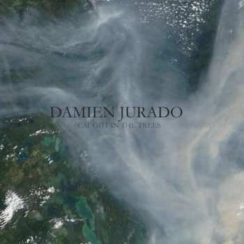 CD Damien Jurado: Caught In The Trees
