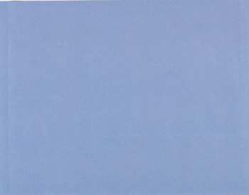 CD Damon & Naomi: The Earth Is Blue