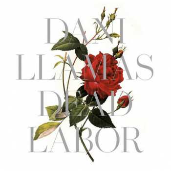 LP Dani Llamas: Dead Labor CLR