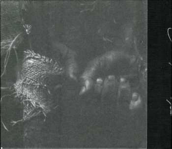 CD Daníel Ágúst: Swallowed A Star