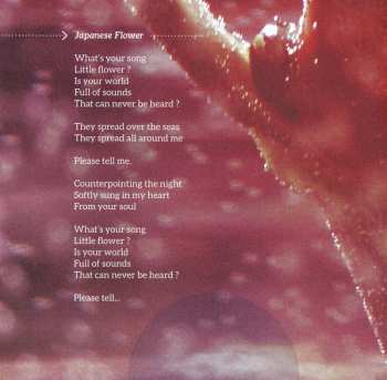 CD Daniel Goyone: Blues