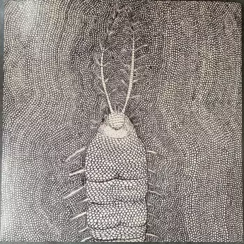 Daniel Melero: Qualia / Micrografía
