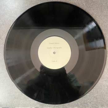 LP Daniel Melero: Qualia / Micrografía