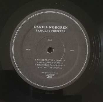 LP Daniel Norgren: Skogens Frukter