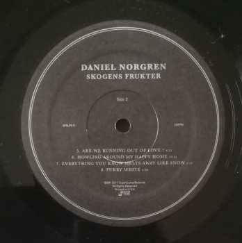 LP Daniel Norgren: Skogens Frukter