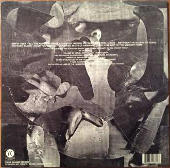 LP Daniel Romano: Finally Free