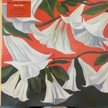 Album Danny George Wilson: Another Place