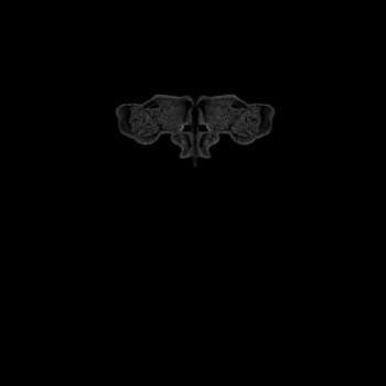 2LP Dasha Rush: Sleepstep