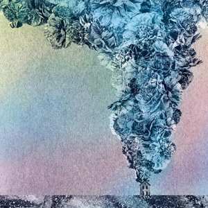 Album Daughn Gibson: Carnation