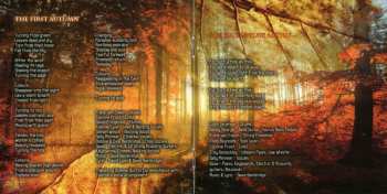 CD Dave Bainbridge: Celestial Fire