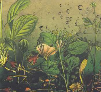 CD Dave Ball: Photosynthesis