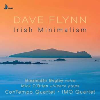 CD Dave Flynn: Irish Minimalism