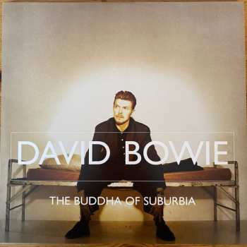 18LP/Doos David Bowie: Brilliant Adventure [1992-2001] LTD