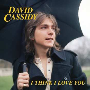 SP David Cassidy: I Think I Love You CLR | LTD