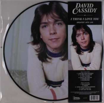 Album David Cassidy: Live in Concert