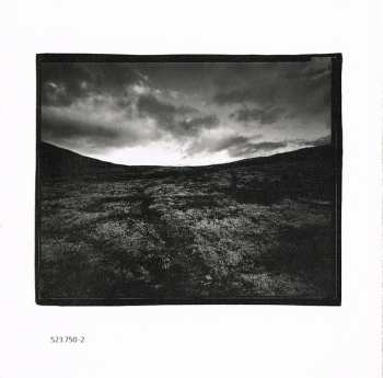 CD David Darling: Dark Wood