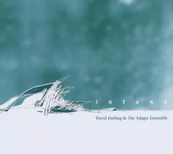 David Darling: Musical Massage: In Tune