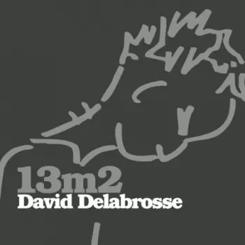 David Delabrosse: 13m²