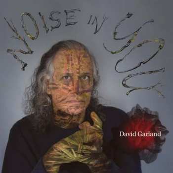 Album David Garland: Noise In You